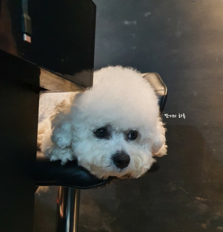 클래식옴므헤어 이미지