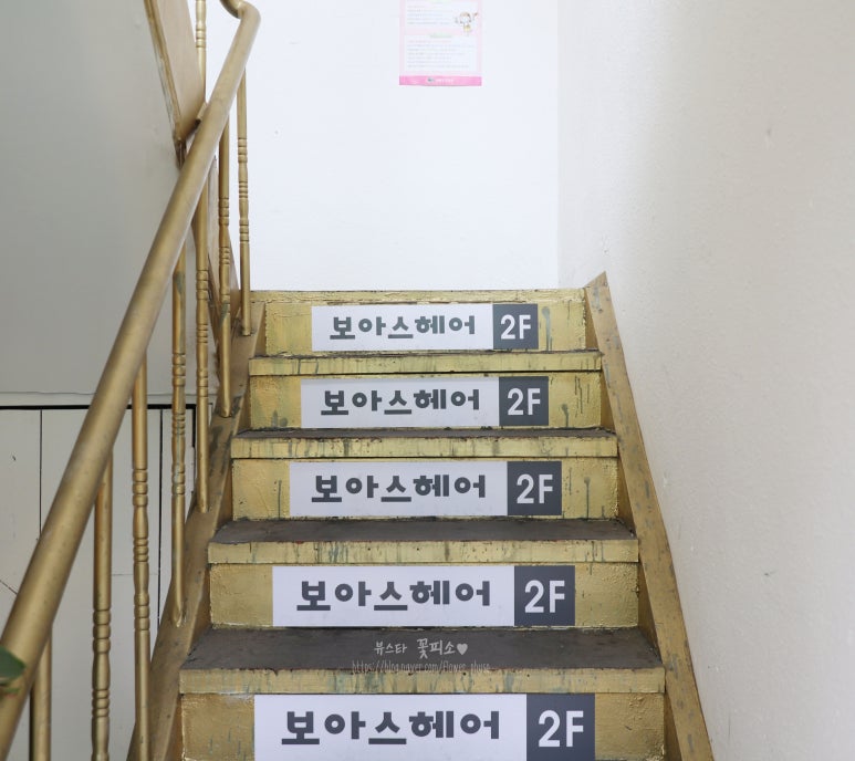 보아스헤어 이미지