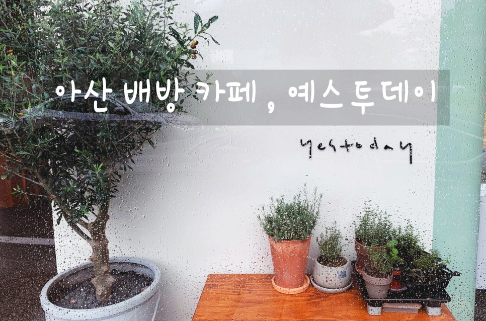 예스투데이 이미지