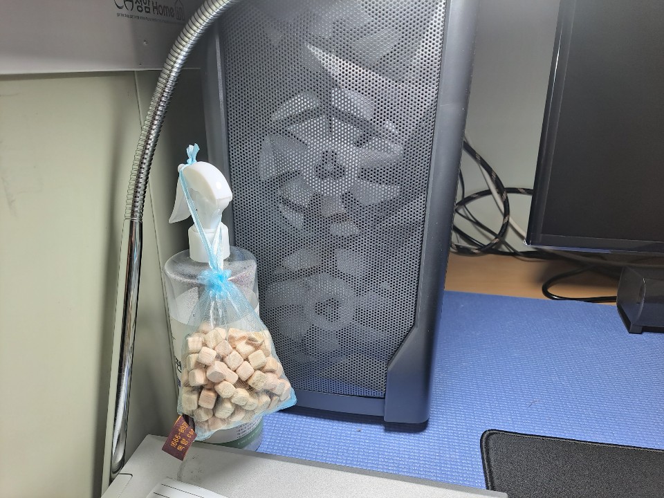 목향편백 이미지