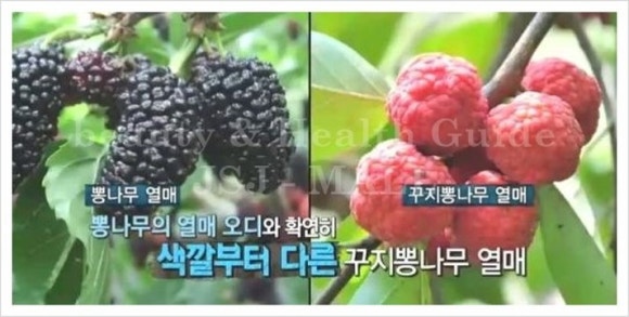 그림향기 이미지