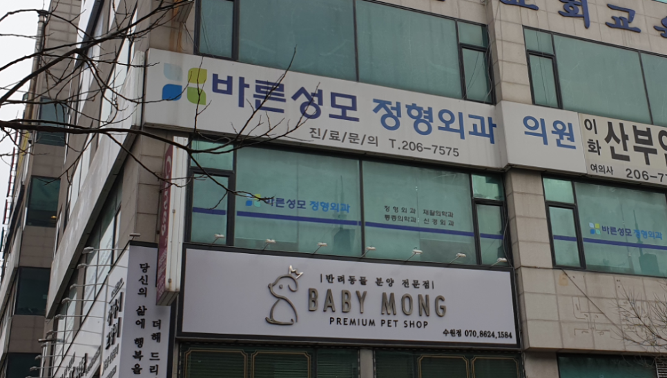 바른성모정형외과의원 이미지