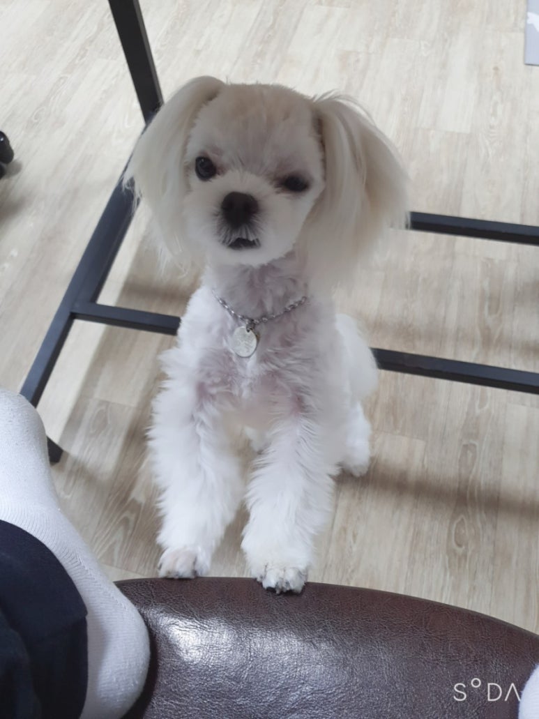 머리깍자 이미지