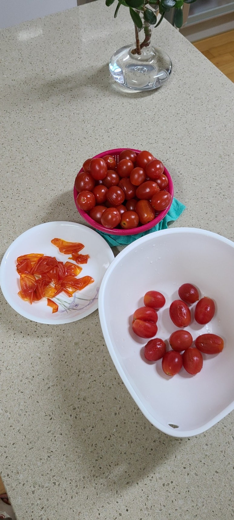 토마토 댄스스포츠학원 이미지