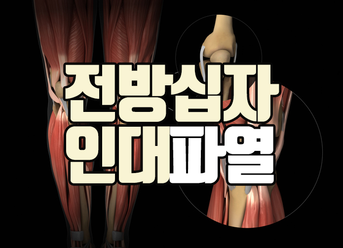 크로바재활의학과의원 이미지