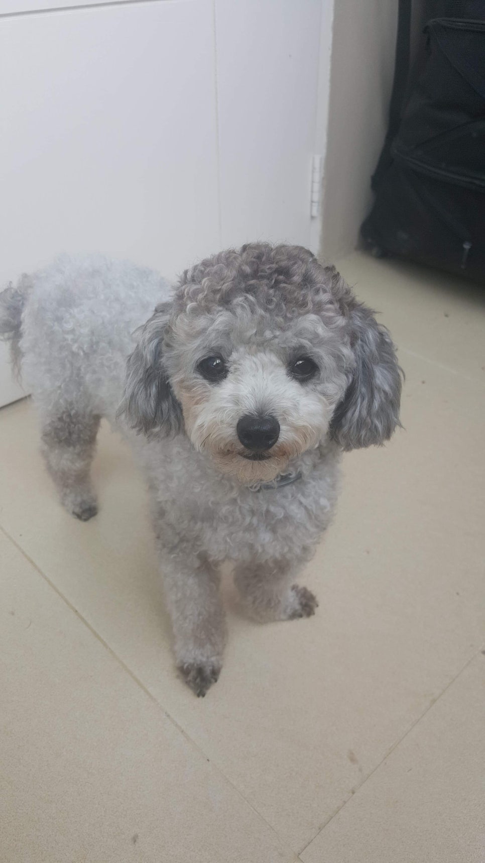 봉구 이미지