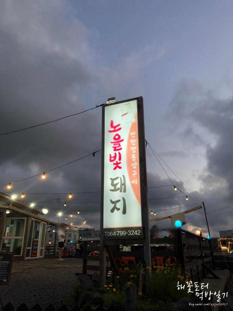 노을빛돼지 이미지