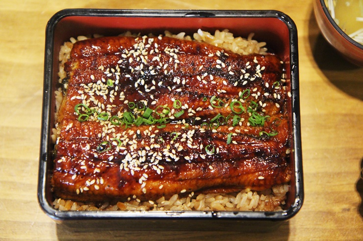 타마 이미지
