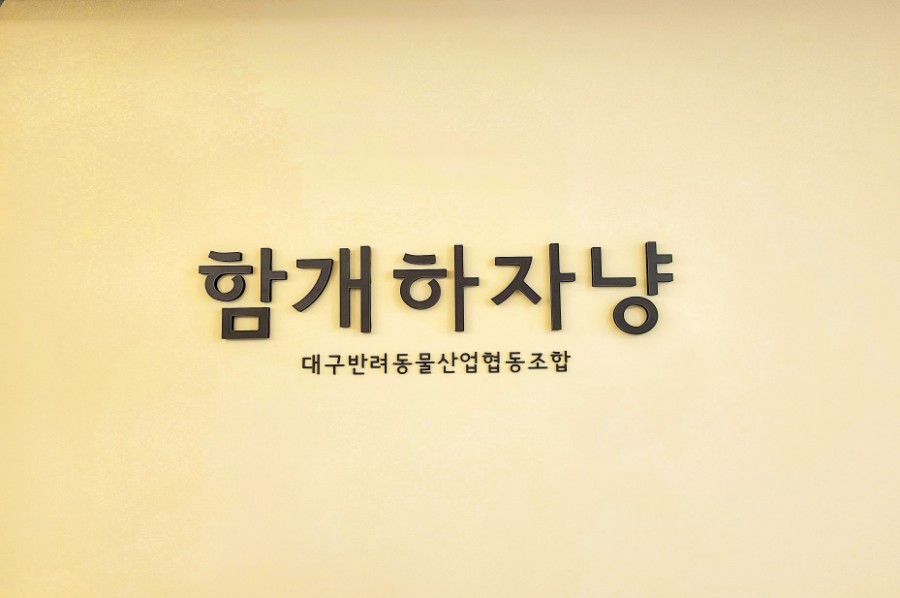 함개하자냥 이미지