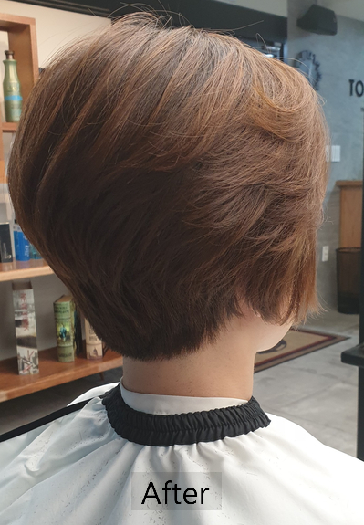 토리헤어노형 이미지