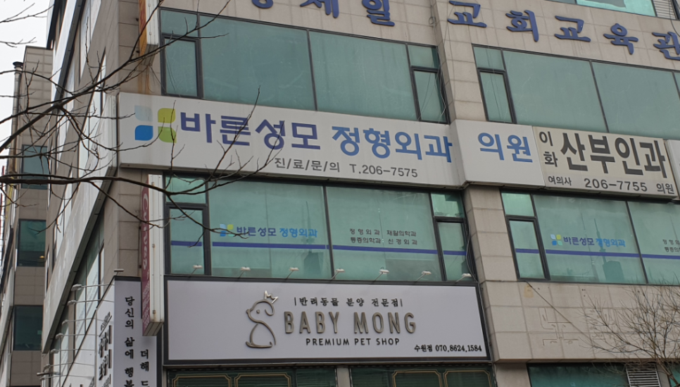 바른성모정형외과의원 이미지