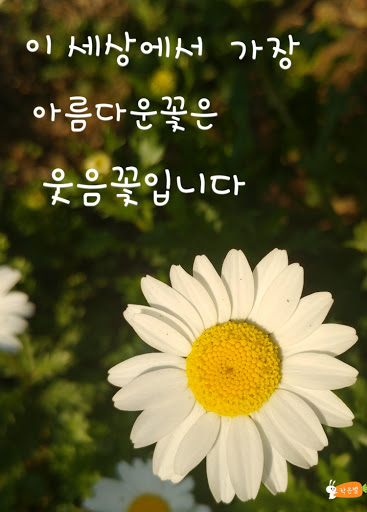 너에게, 꽃이다 이미지