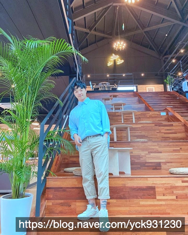 팍스디엠지 이미지