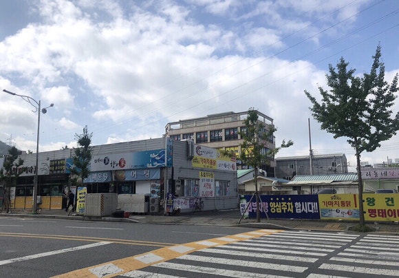 메기가향어가 이미지