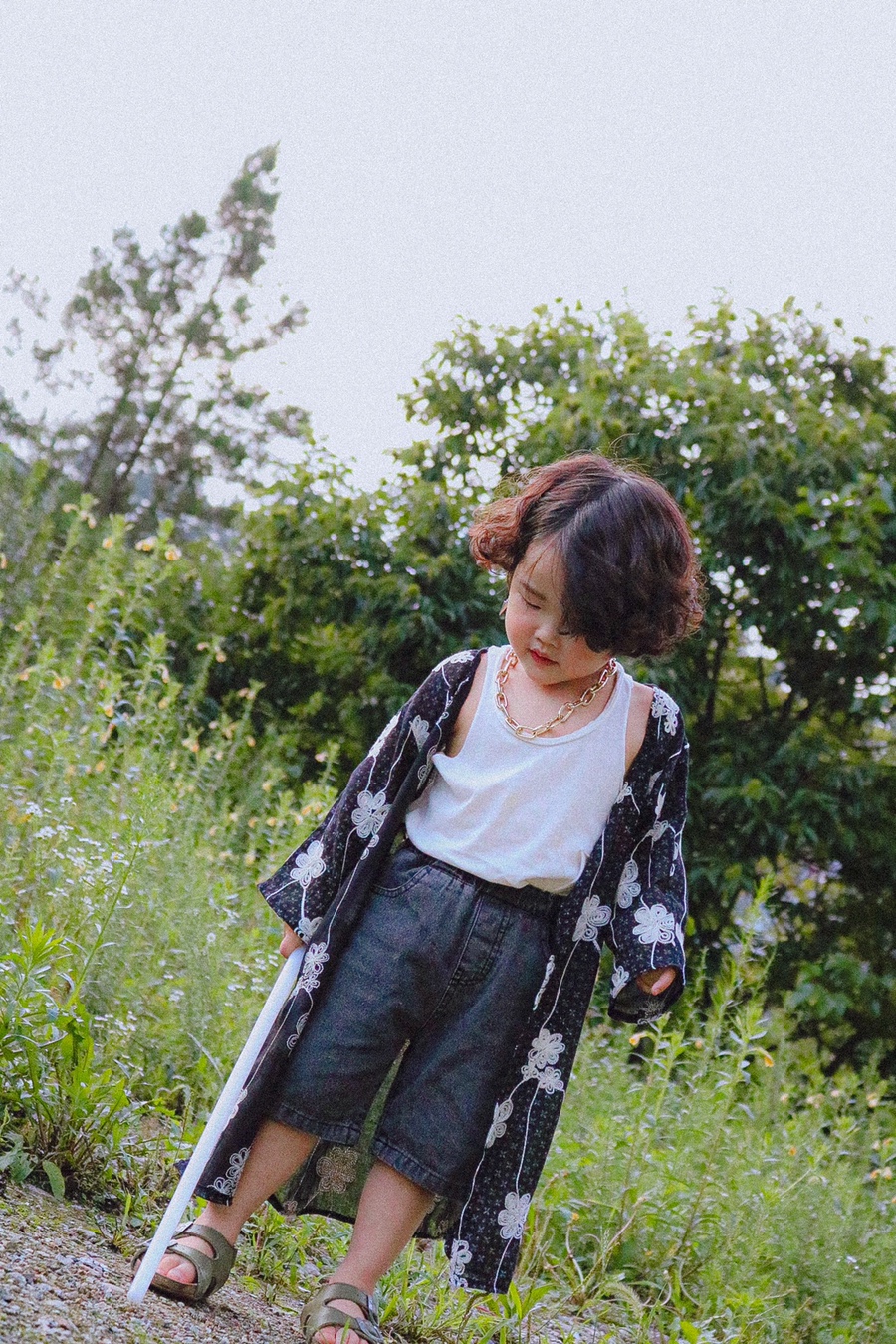 씨선 이미지