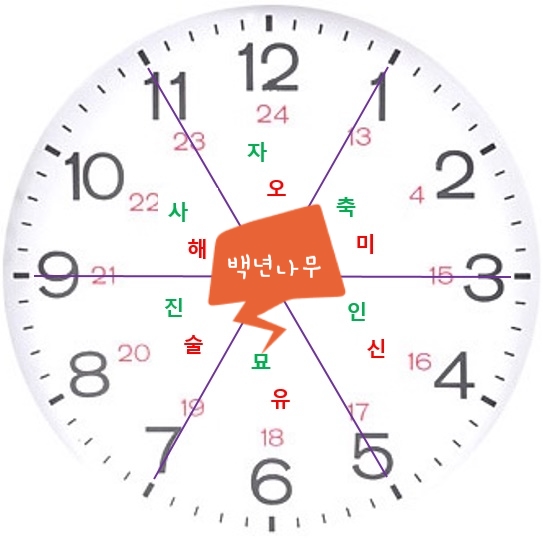 오전 12시 오후 12시 구분 / 자정 정오 뜻 이해 : 네이버 블로그