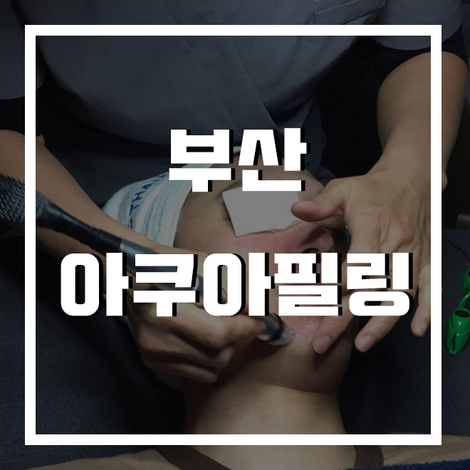 필로엘 이미지