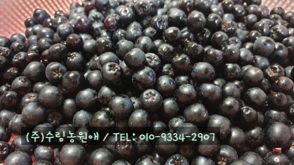 농업회사법인 (주)수농원 이미지