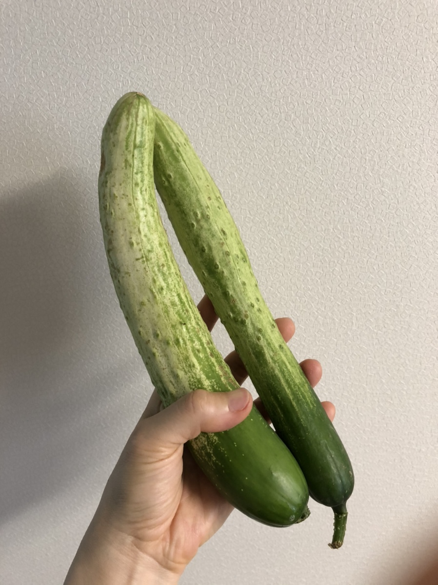 (주)진로식자재마트 이미지