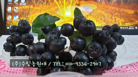 농업회사법인 (주)수농원 이미지