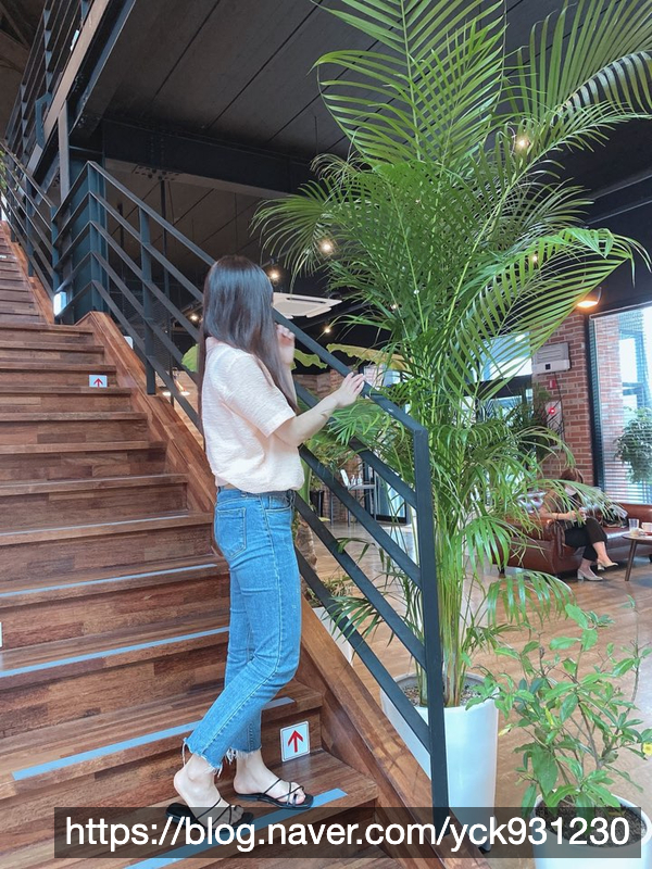 팍스디엠지 이미지