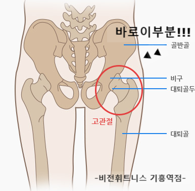 다니피트니스 이미지