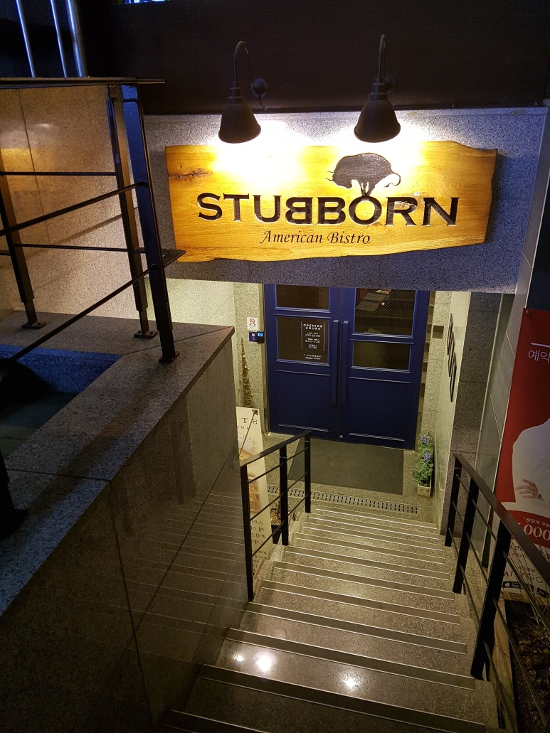 스터번(STUBBORN) 이미지