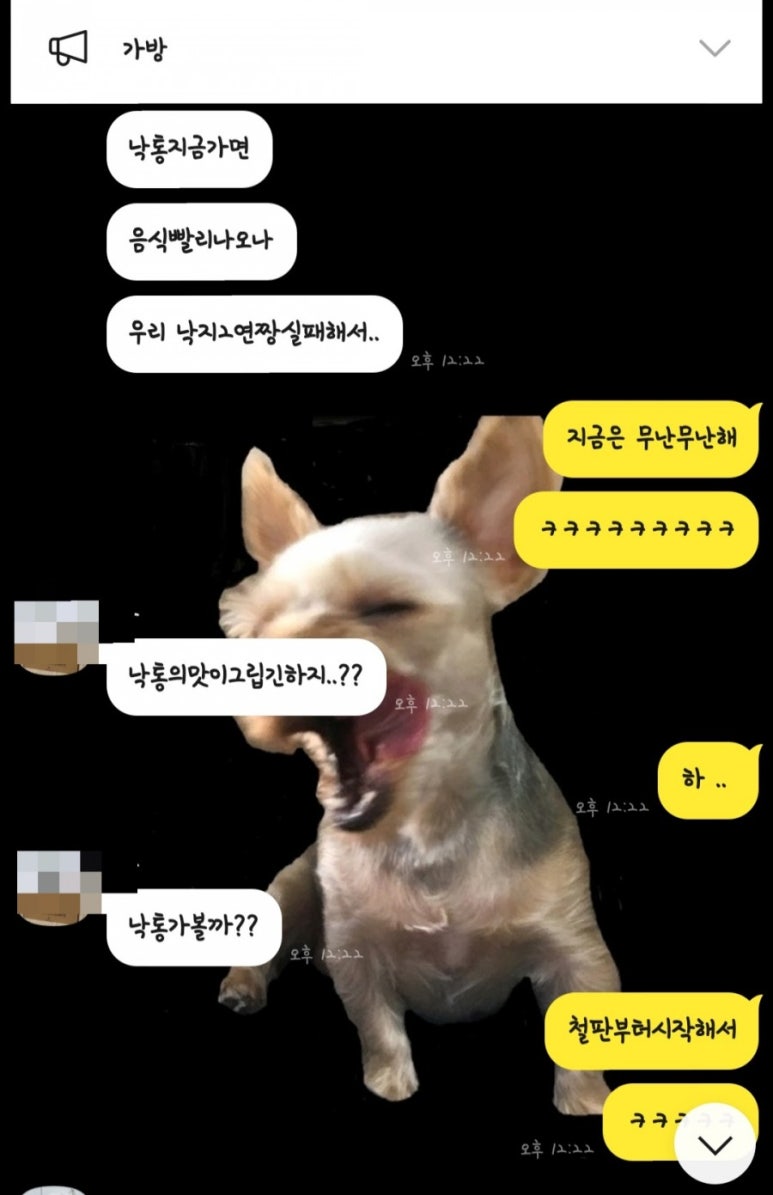 통통낙지마을 사진 8