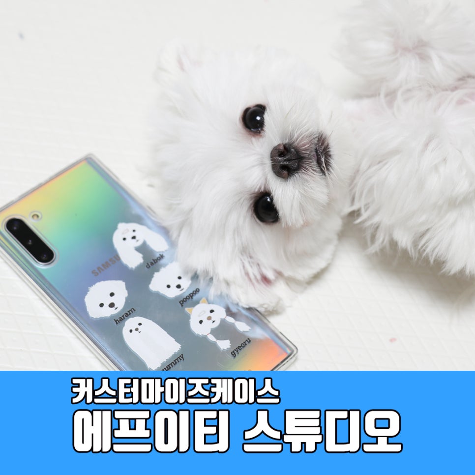 에프에프스튜디오 이미지