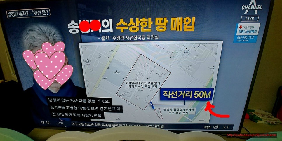 도시어부 금쪽같은 내새끼 이미지