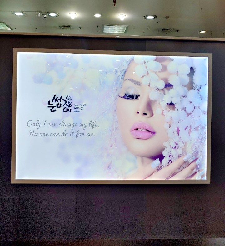 눈썹쟁이 이미지