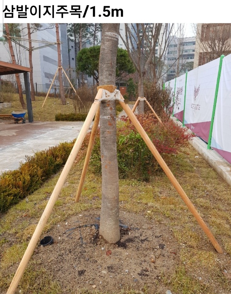 안성조경자재 이미지