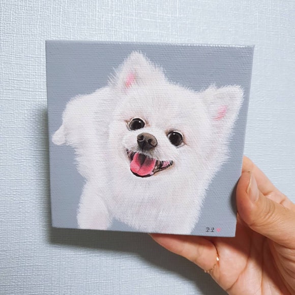 코코엔비 이미지