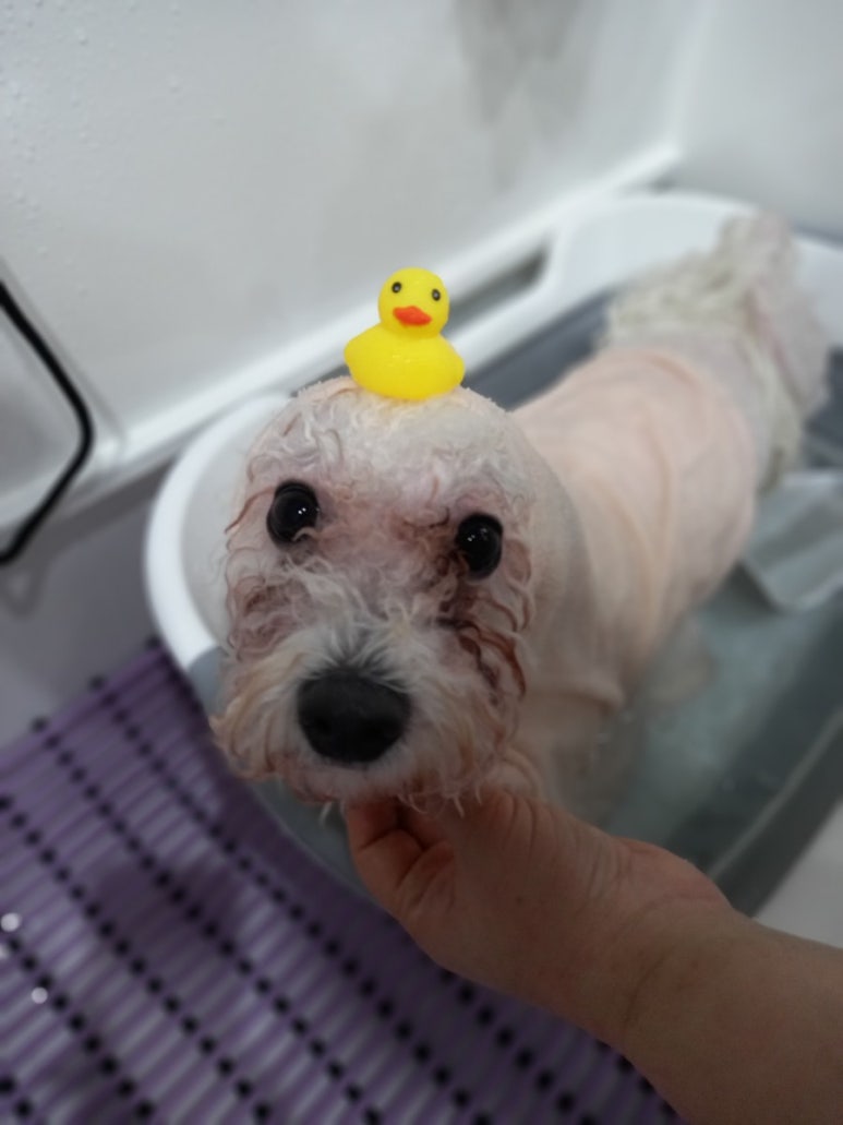 살롱3039 이미지