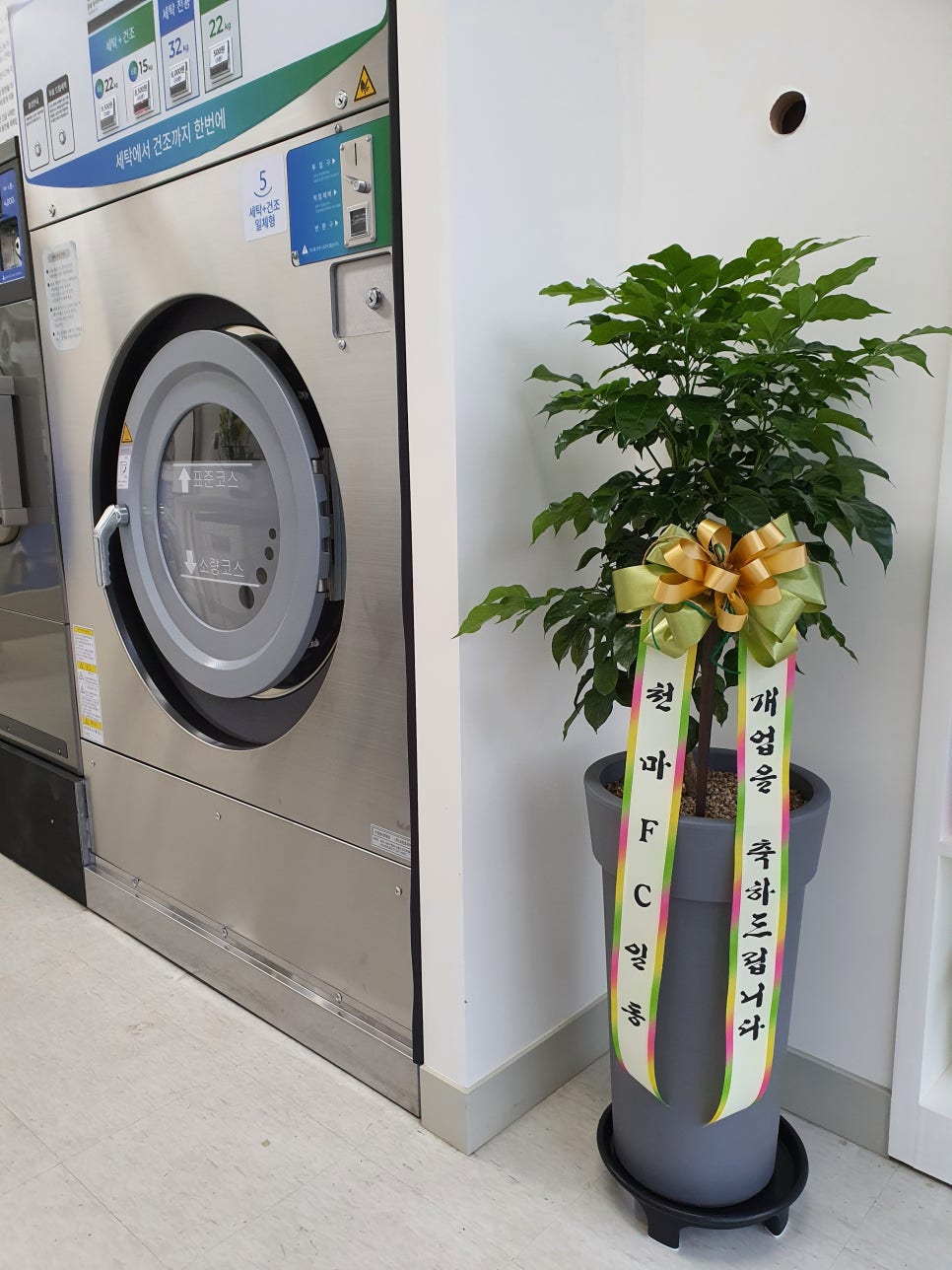 크린토피아코인워시파주 이미지