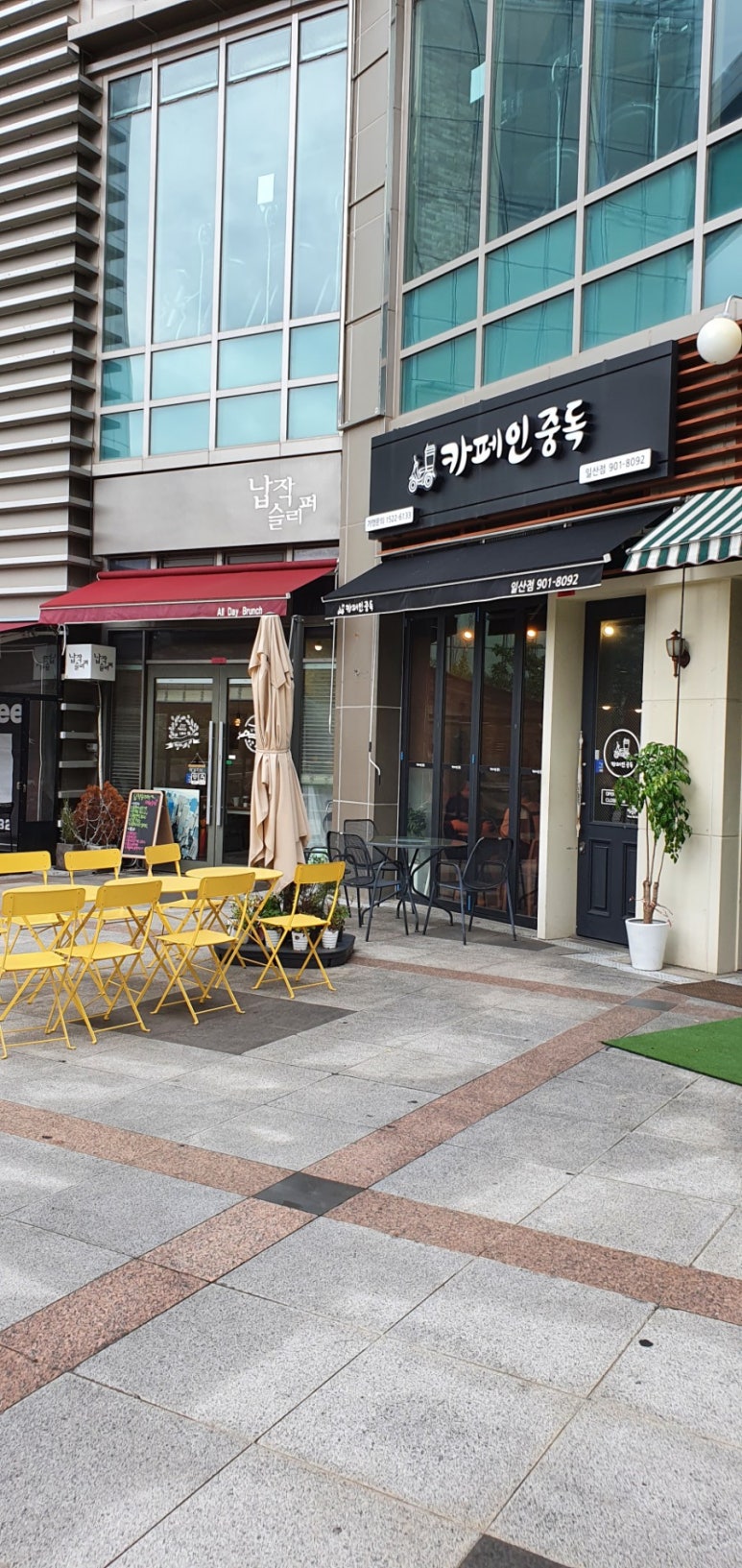 카페인중독 장항점 이미지