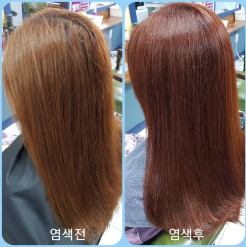 큐사랑머리염색 이미지