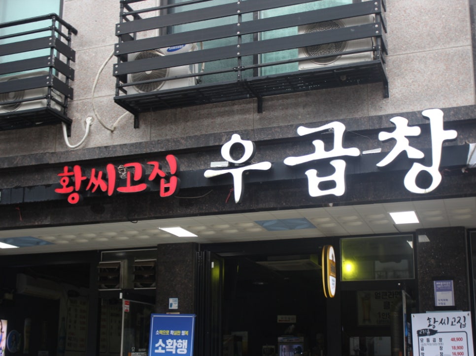 곱창우 이미지