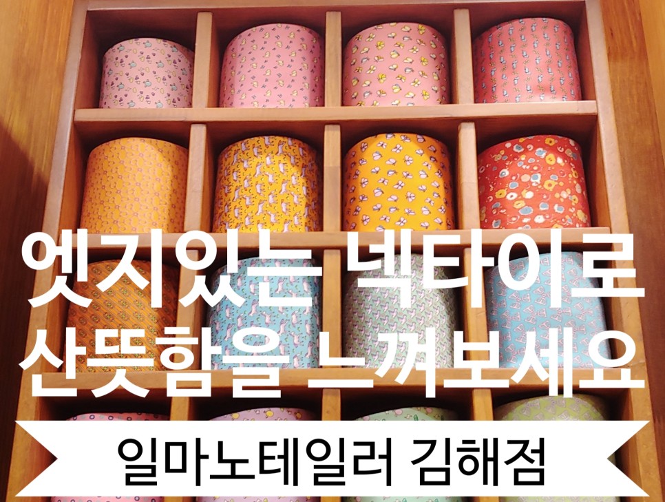 일마노테일러 이미지
