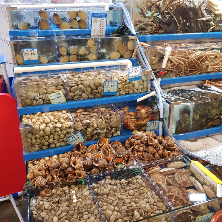 순천만수산횟집 이미지