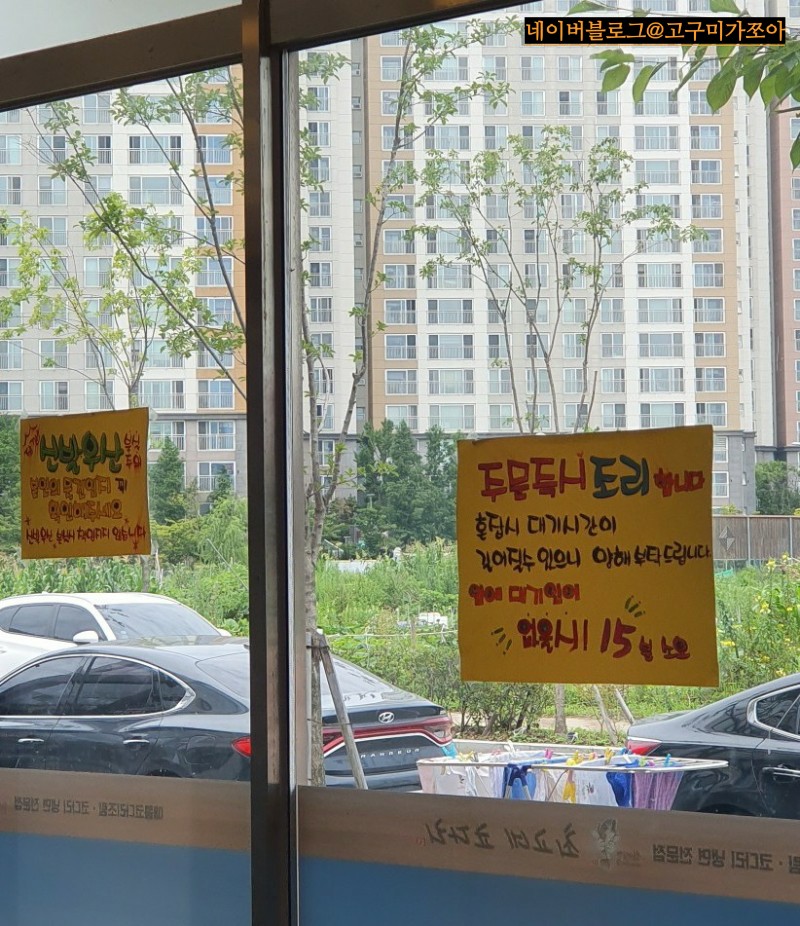 최고네코다리 이미지