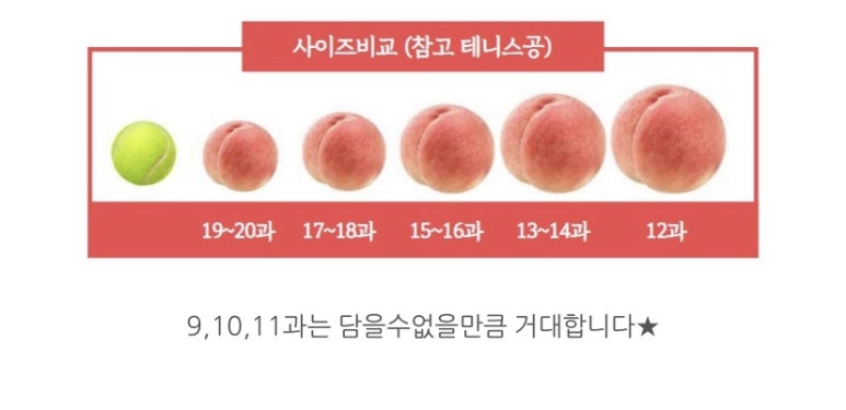 성아상회 이미지