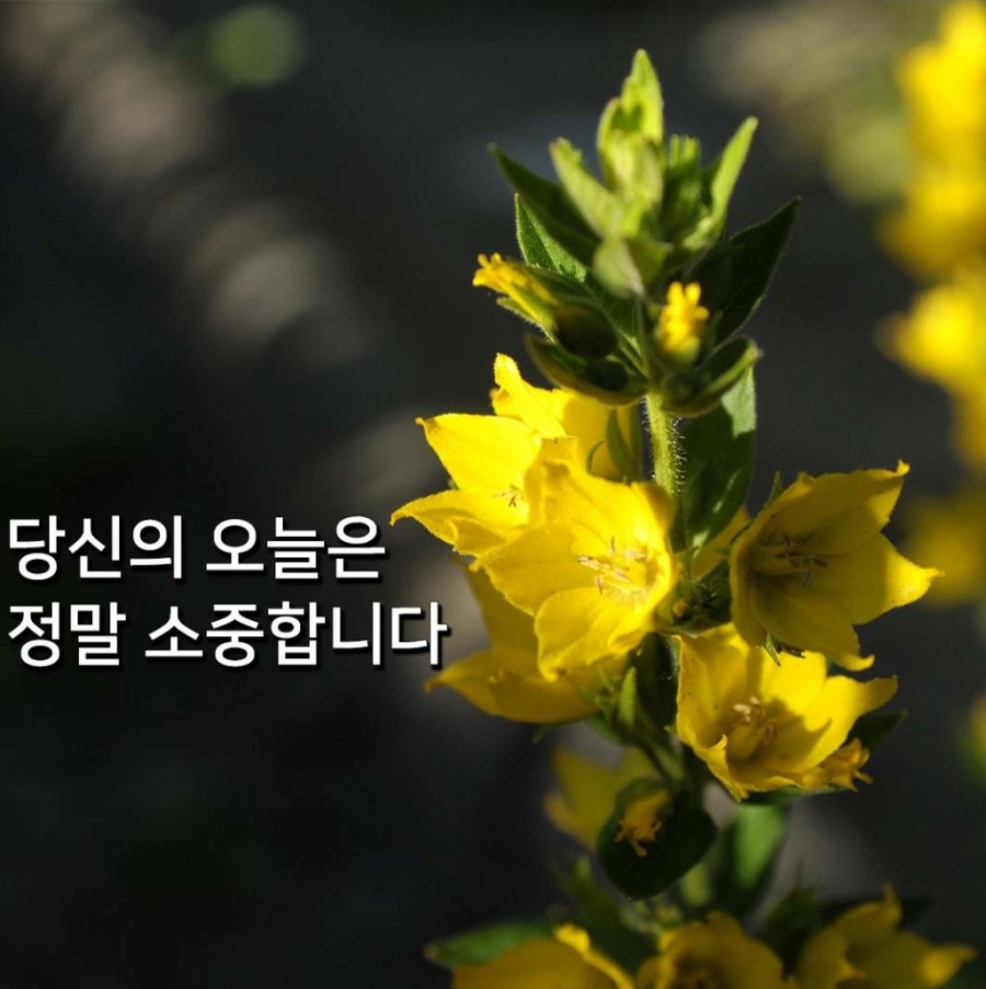 오늘은좋은마음 이미지