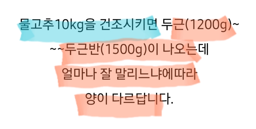 홍고추나라 이미지