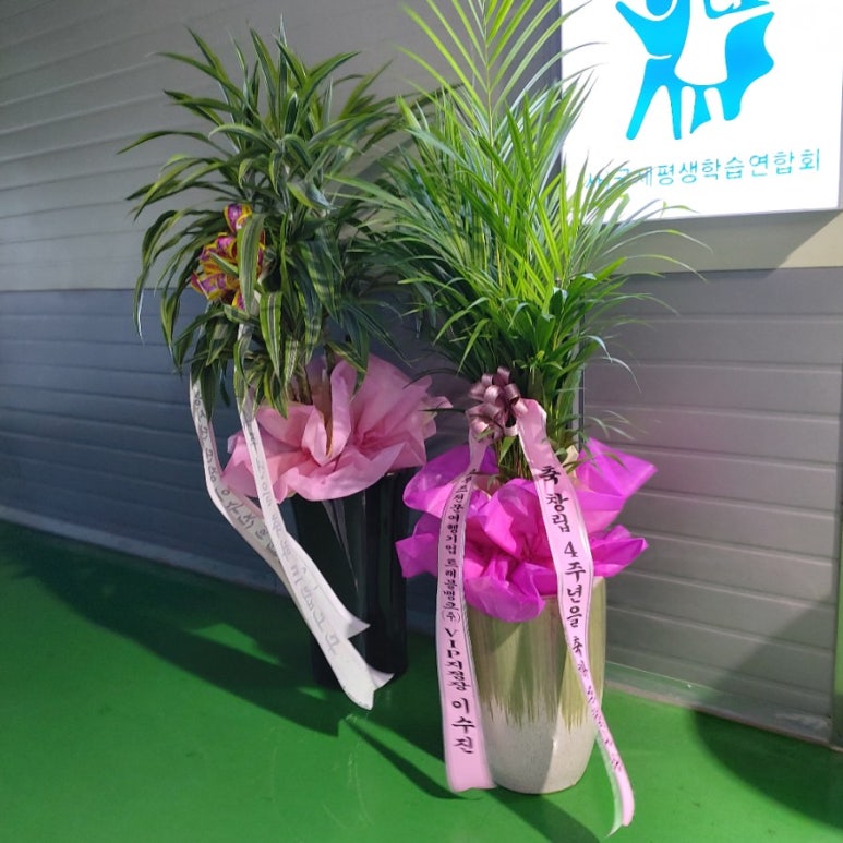 다누리교육 이미지