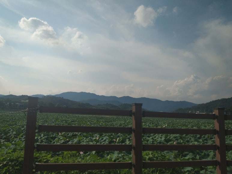 청도떡집 이미지