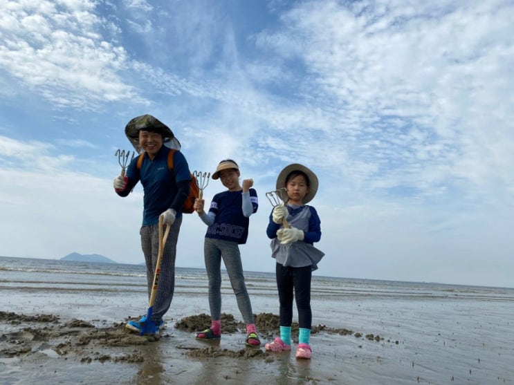 바다출동 이미지