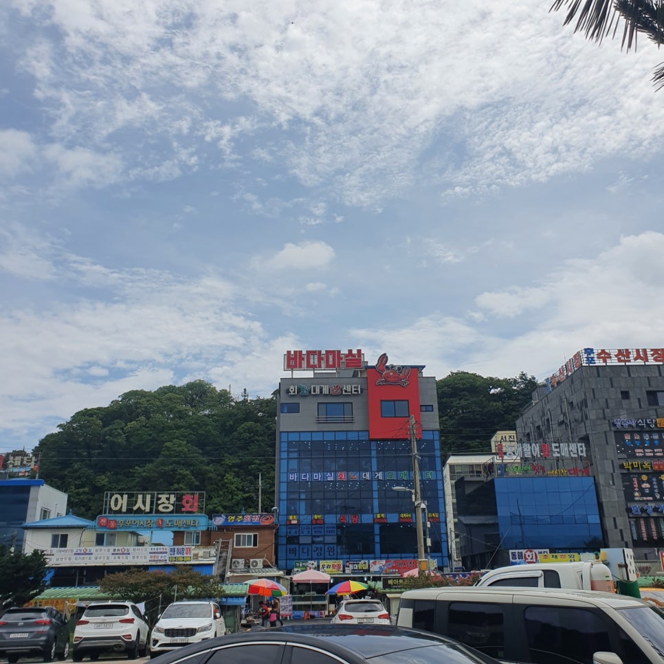 후포리건어물 이미지