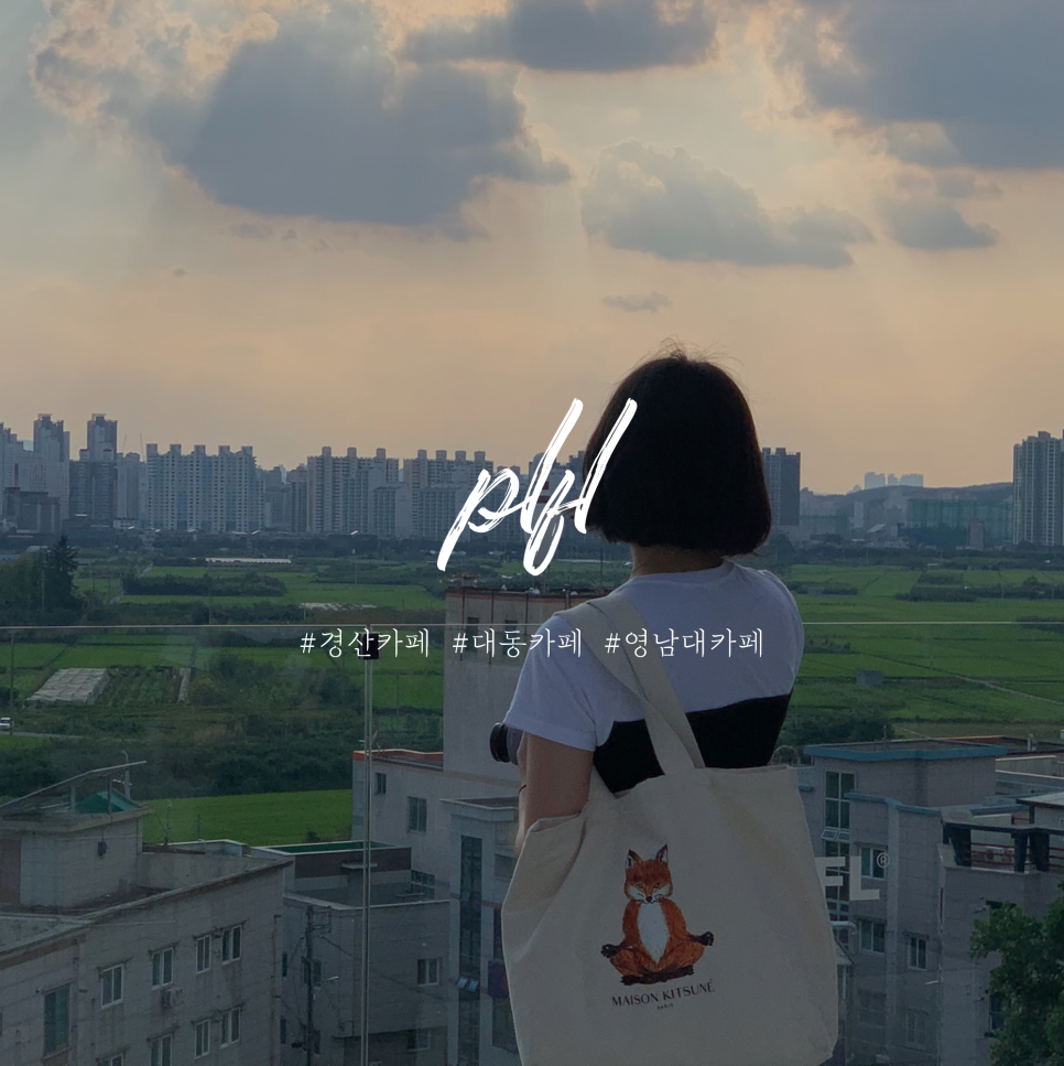 플라플로 이미지