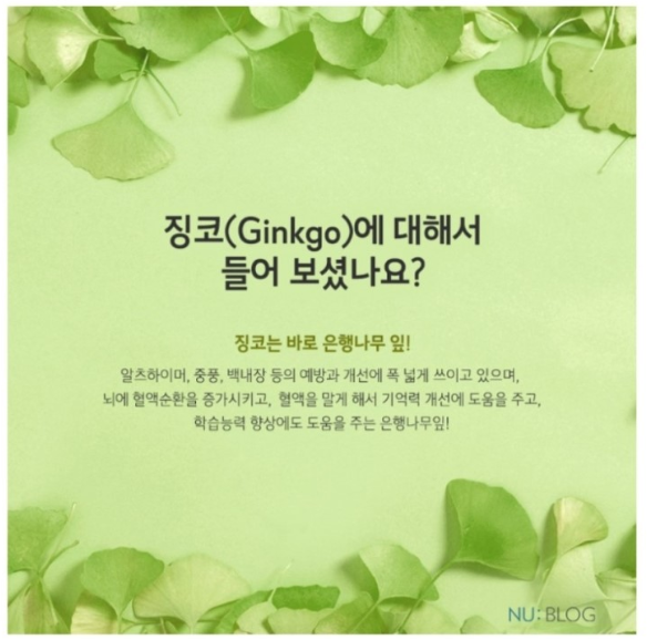 징코바이오 이미지